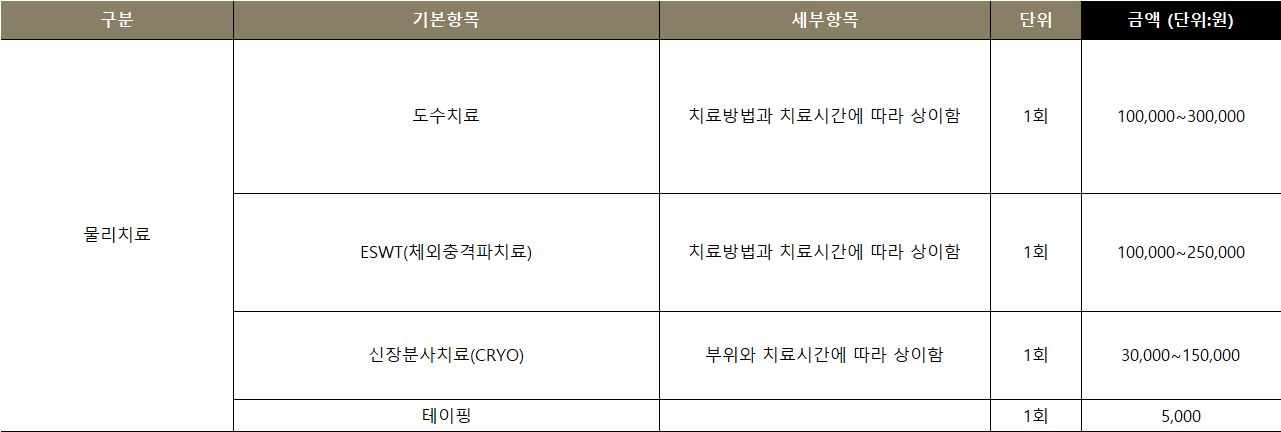 비급여 항목