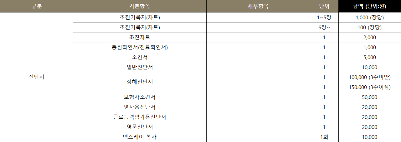 비급여 항목